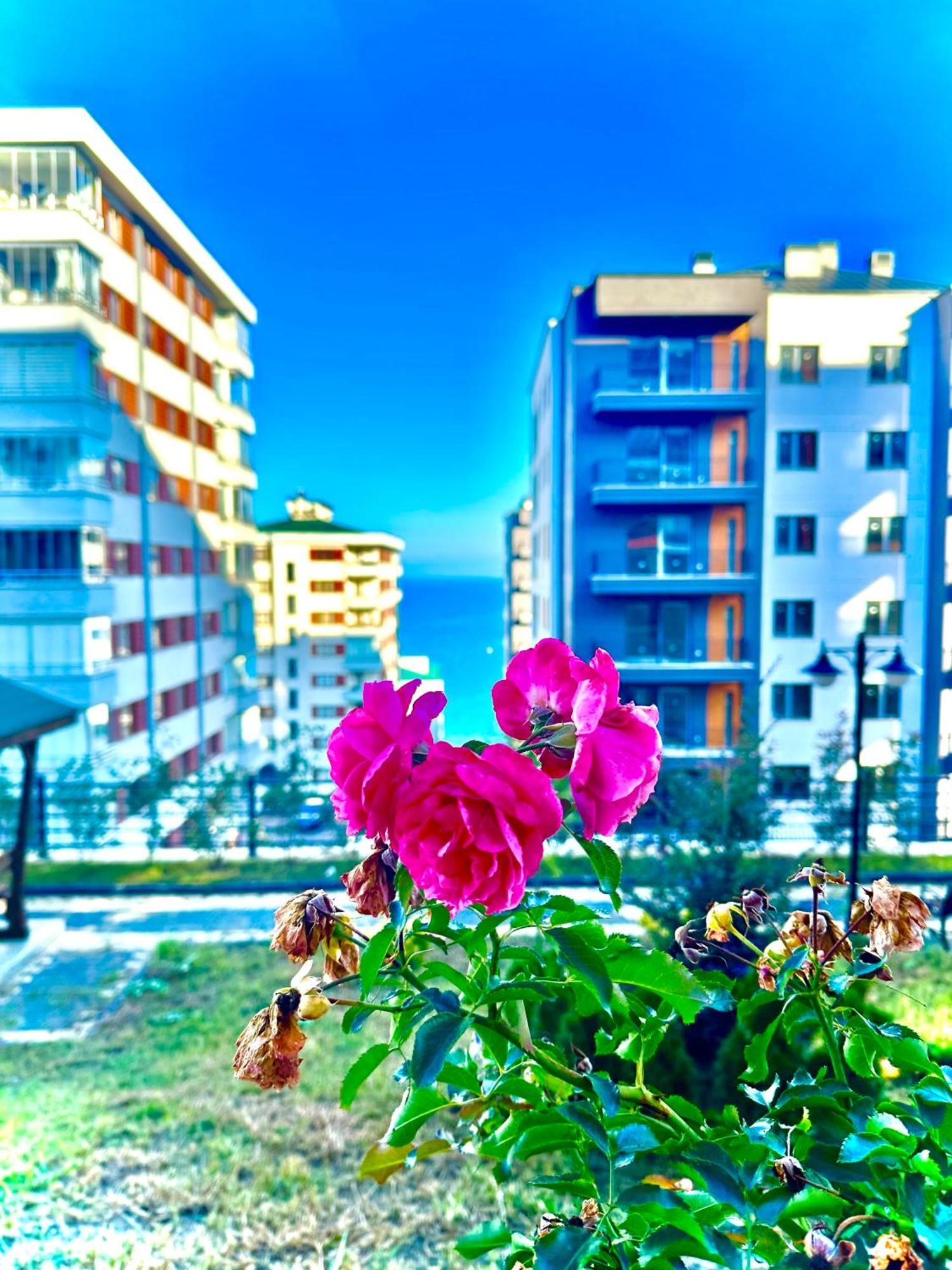 Bazalt Apart Hotel Trabzon Bagian luar foto